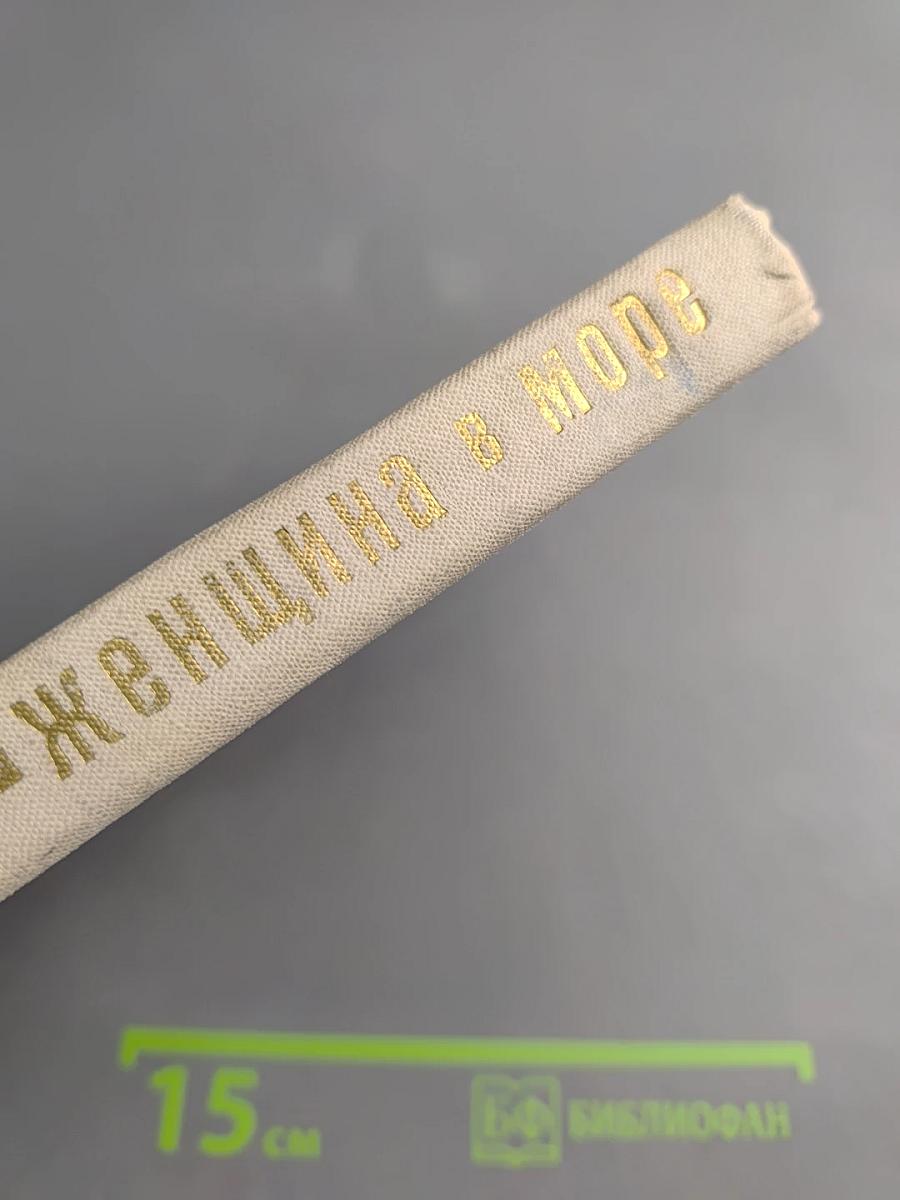 Женщина в море