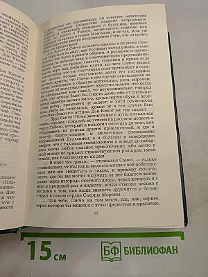 Хитроумный идальго Дон Кихот Ламанчский. Часть вторая