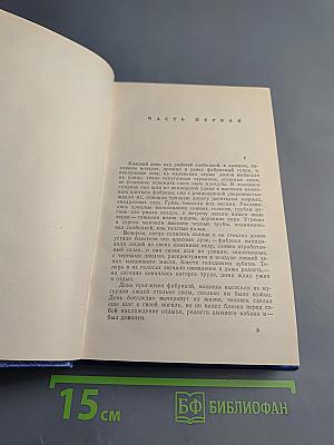 Мать. По Союзу Советов