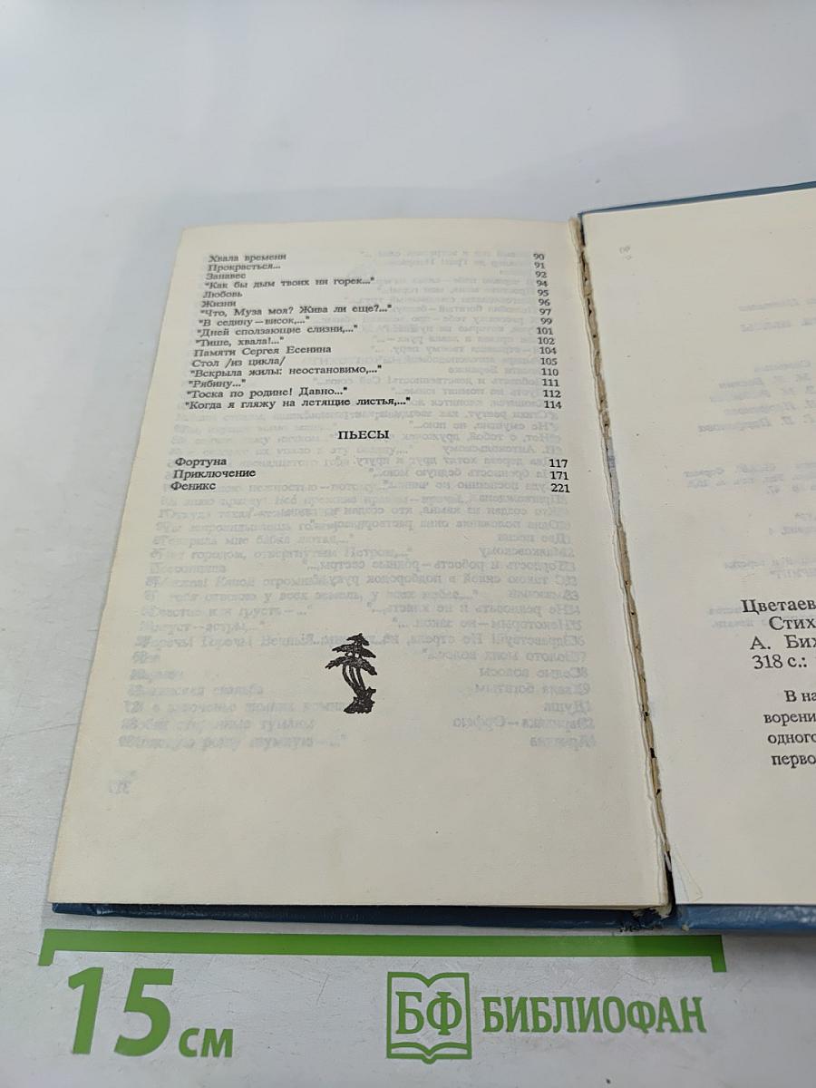 Стихотворения. Пьесы