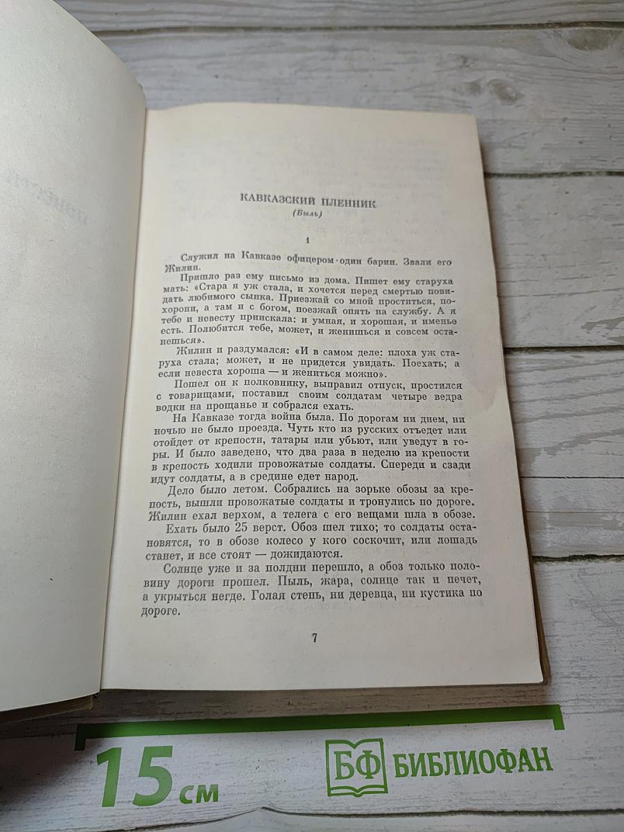 Собрание сочинений. Том десятый. Повести и рассказы. 1872-1903