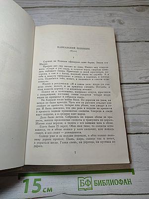 Собрание сочинений. Том десятый. Повести и рассказы. 1872-1903