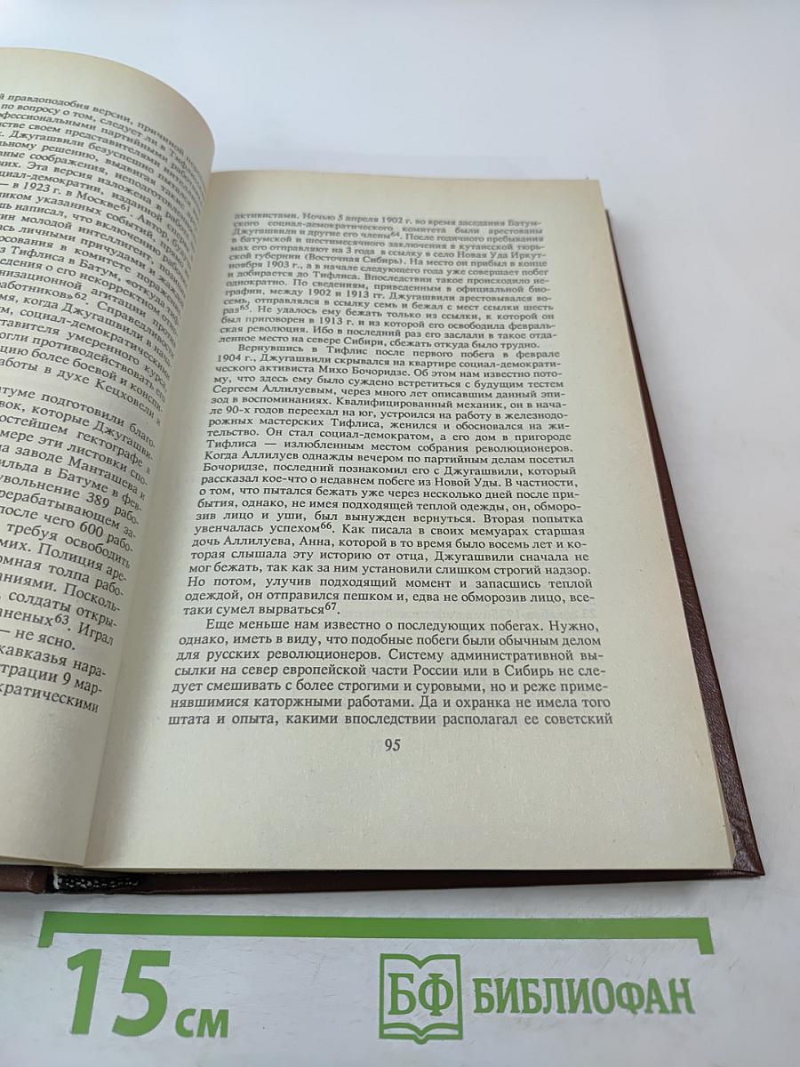 Сталин. Путь к власти 1879-1929. История и личность
