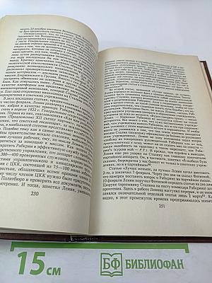 Сталин. Путь к власти 1879-1929. История и личность