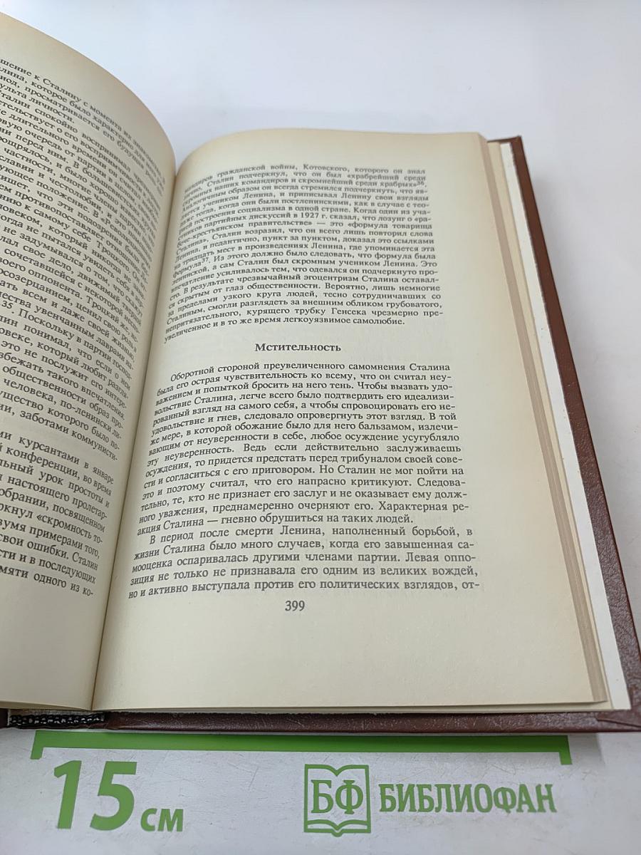Сталин. Путь к власти 1879-1929. История и личность