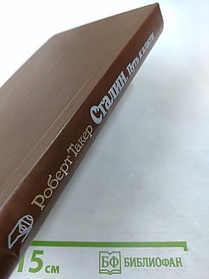 Сталин. Путь к власти 1879-1929. История и личность