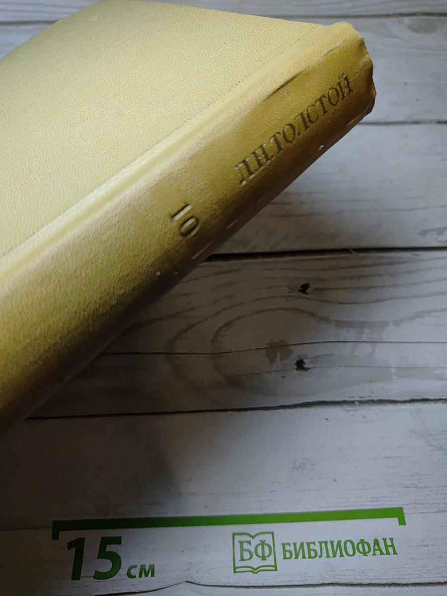 Собрание сочинений. Том десятый. Повести и рассказы. 1872-1903