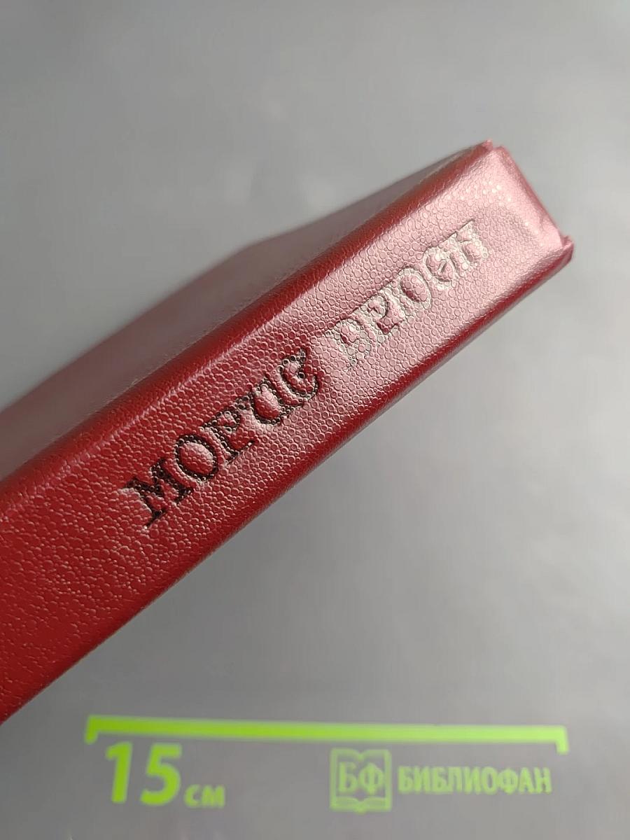 Негоже лилиям прясть. Французская волчица