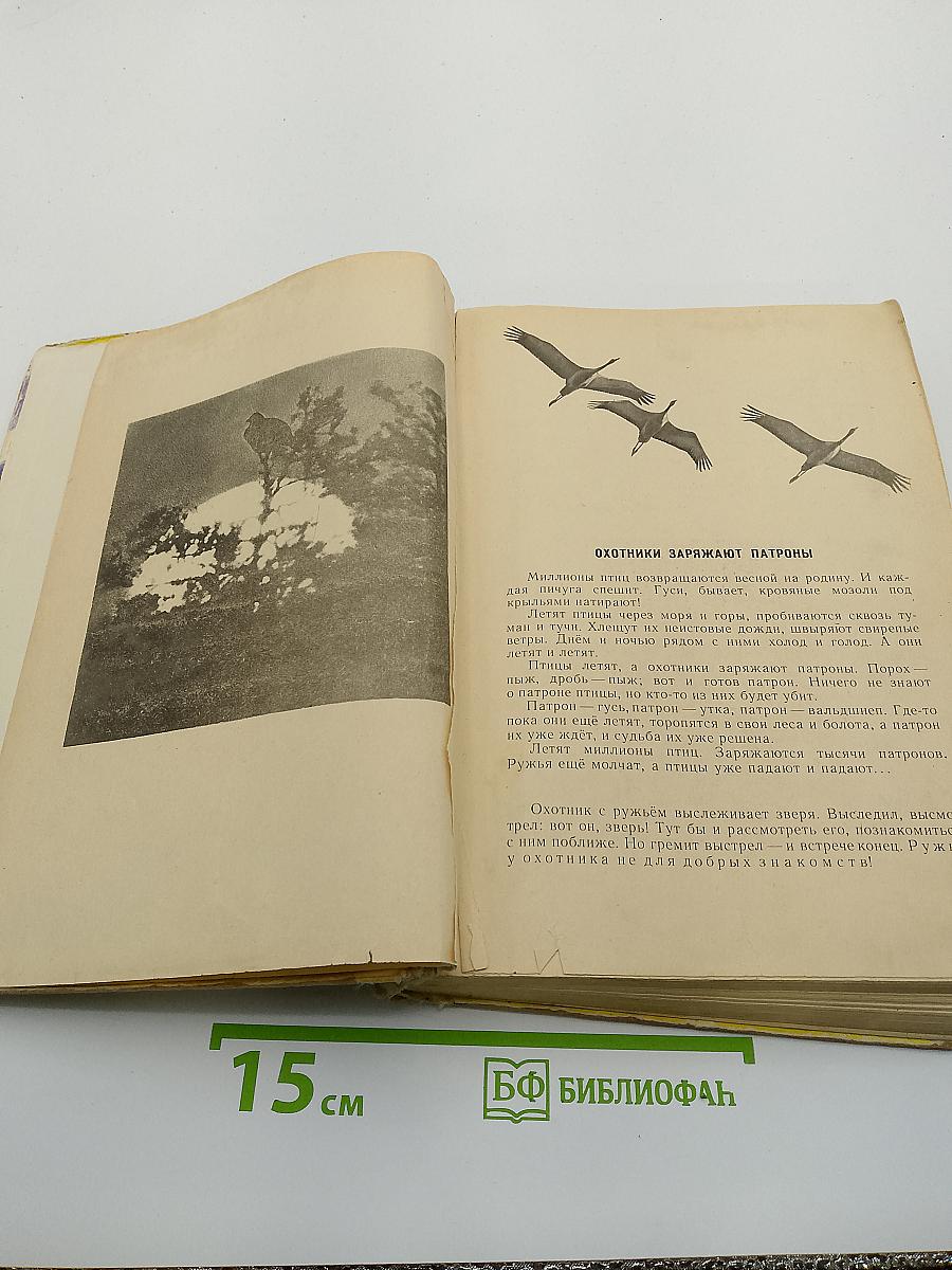 Силуэты на облаках