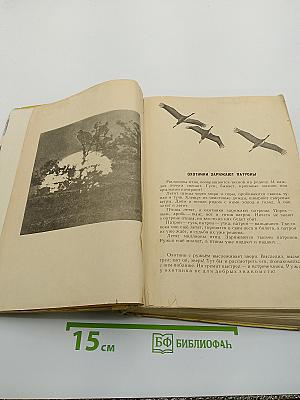 Силуэты на облаках