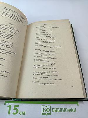 Наша московская, синяя наша весна