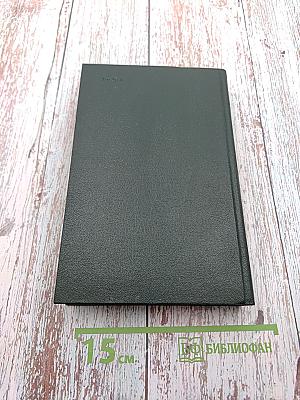 Правдивое комическое жизнеописание Франсиона