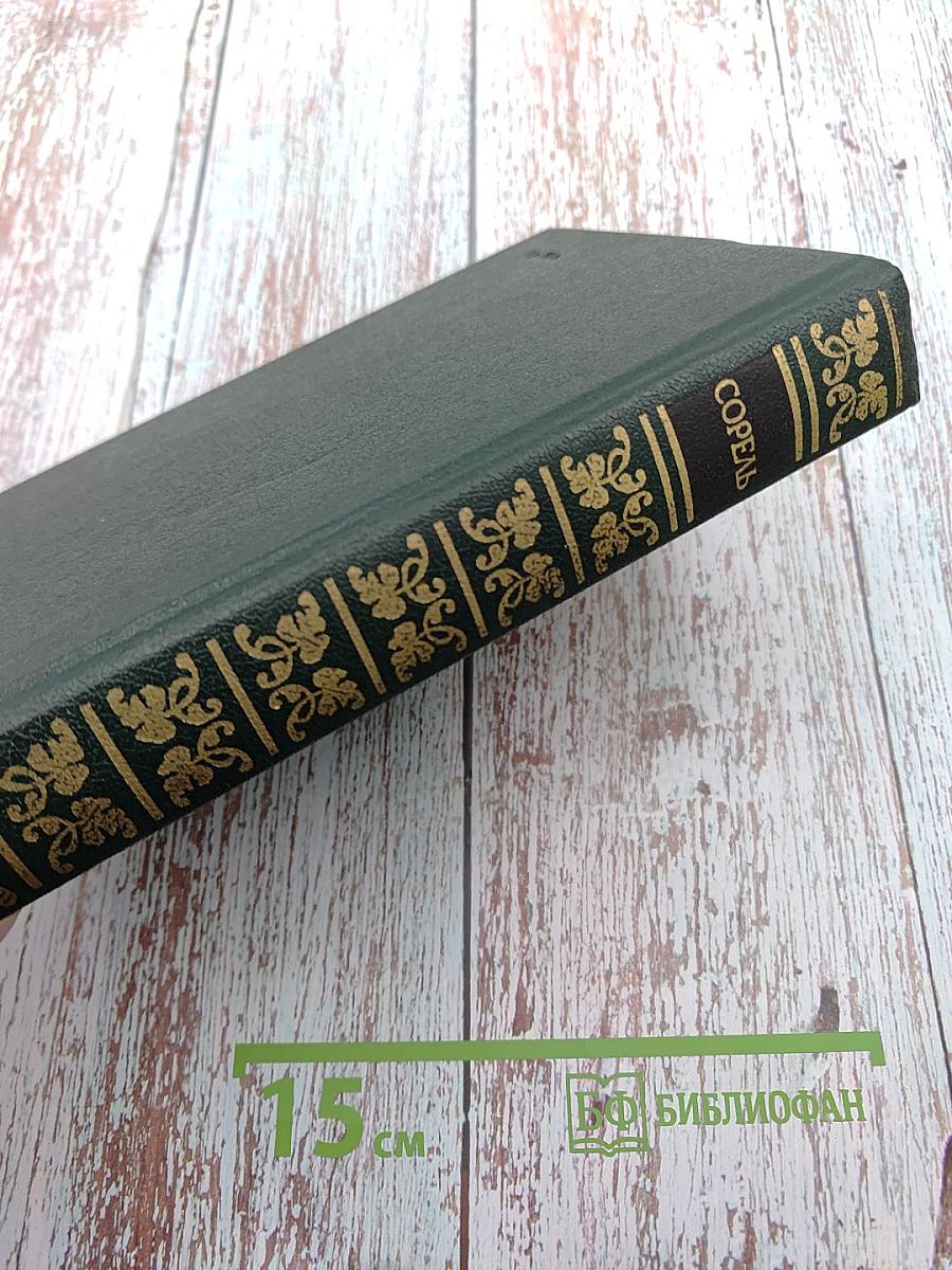 Правдивое комическое жизнеописание Франсиона