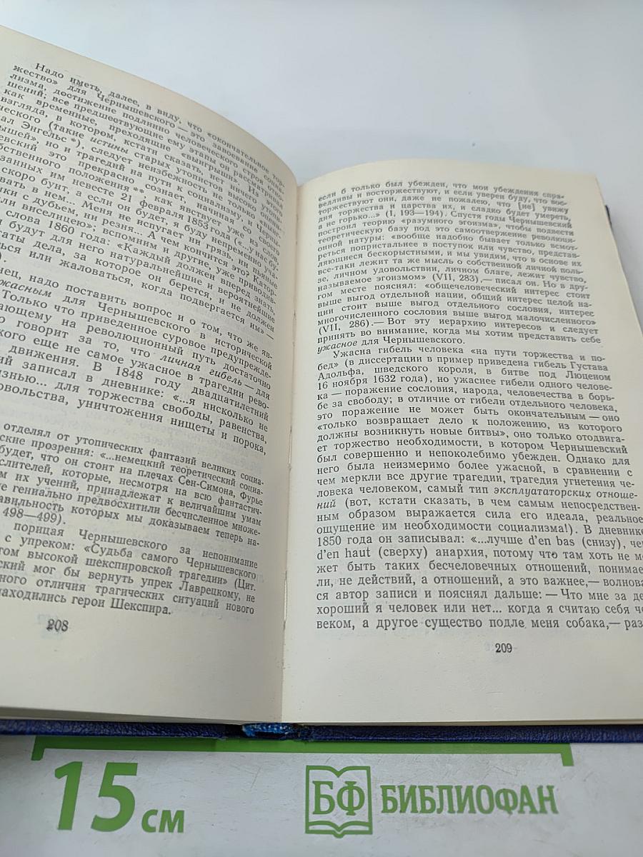 Эстетические воззрения Чернышевского