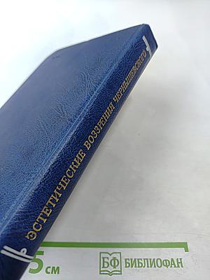 Эстетические воззрения Чернышевского