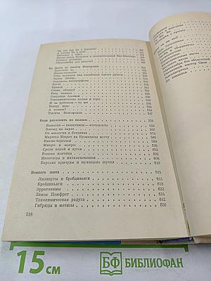 Слово о словах. Имя дома твоего