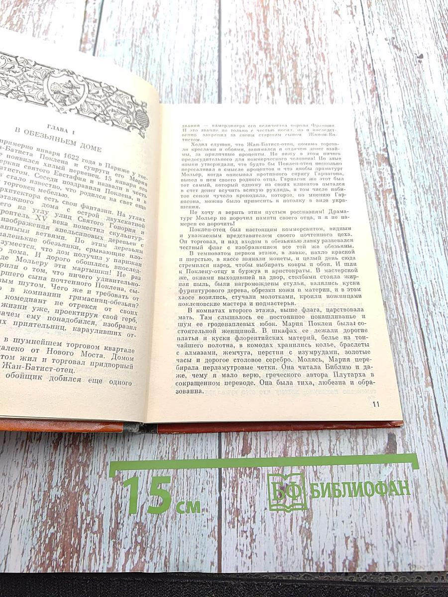 Мольер. Жизнь господина де Мольера