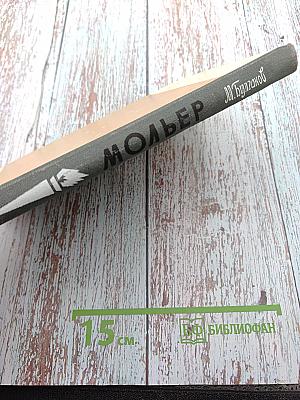 Мольер. Жизнь господина де Мольера