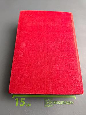 Первые радости. Необыкновенное лето