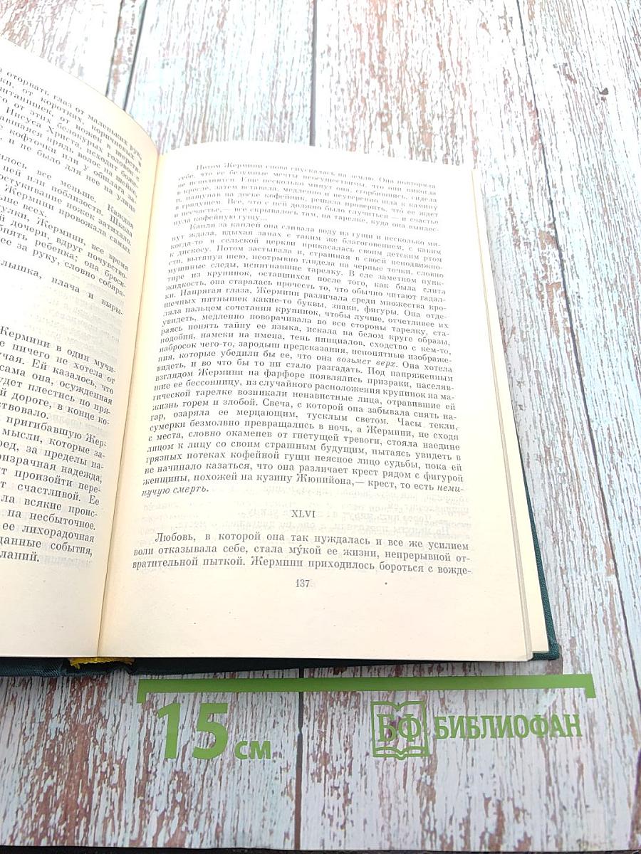 Эдмон и Жюль де Гонкур. Романы