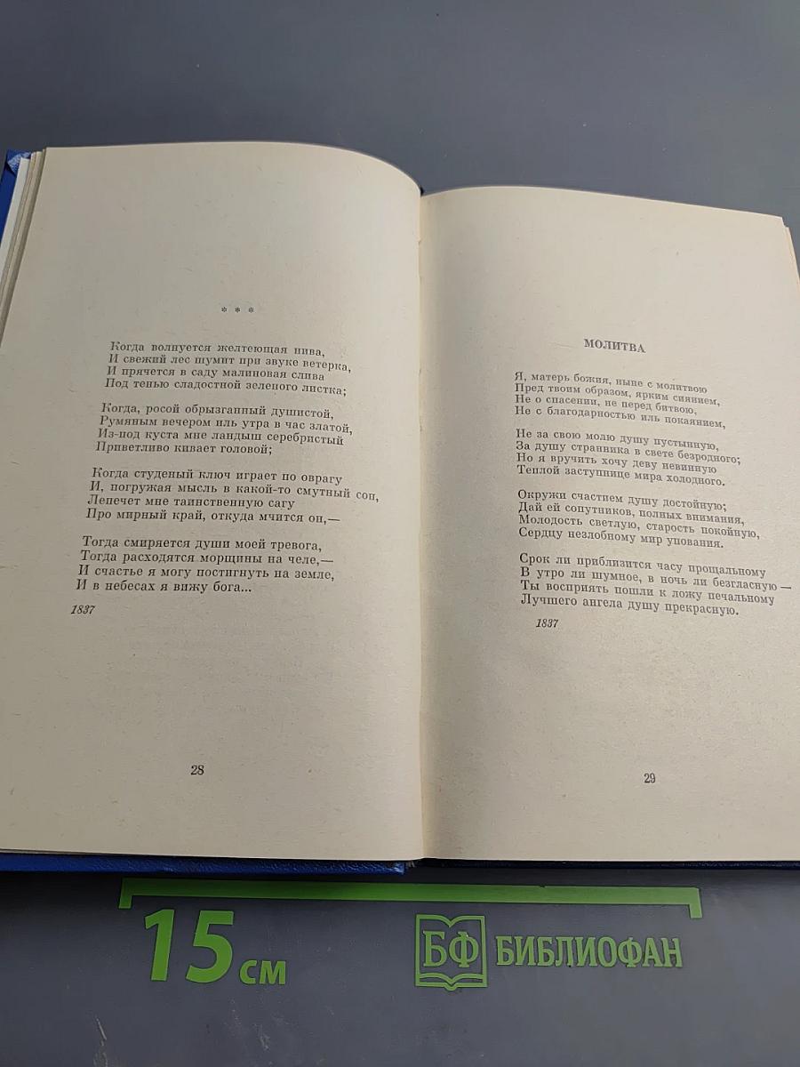 Стихотворения. Поэмы. «Маскарад»