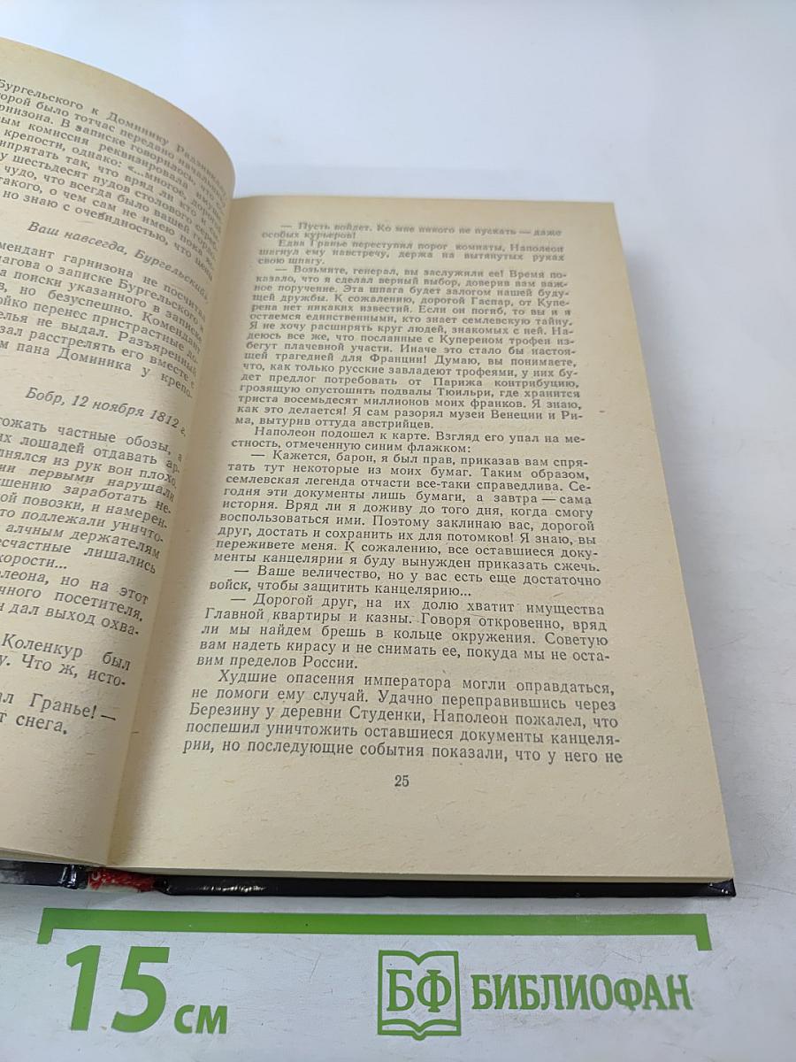 Арена: Политический детектив