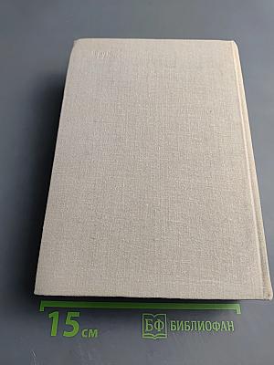 Первые радости. Необыкновенное лето