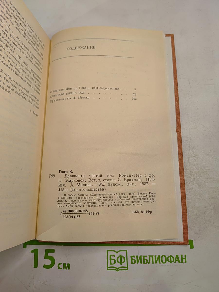 Девяносто третий год