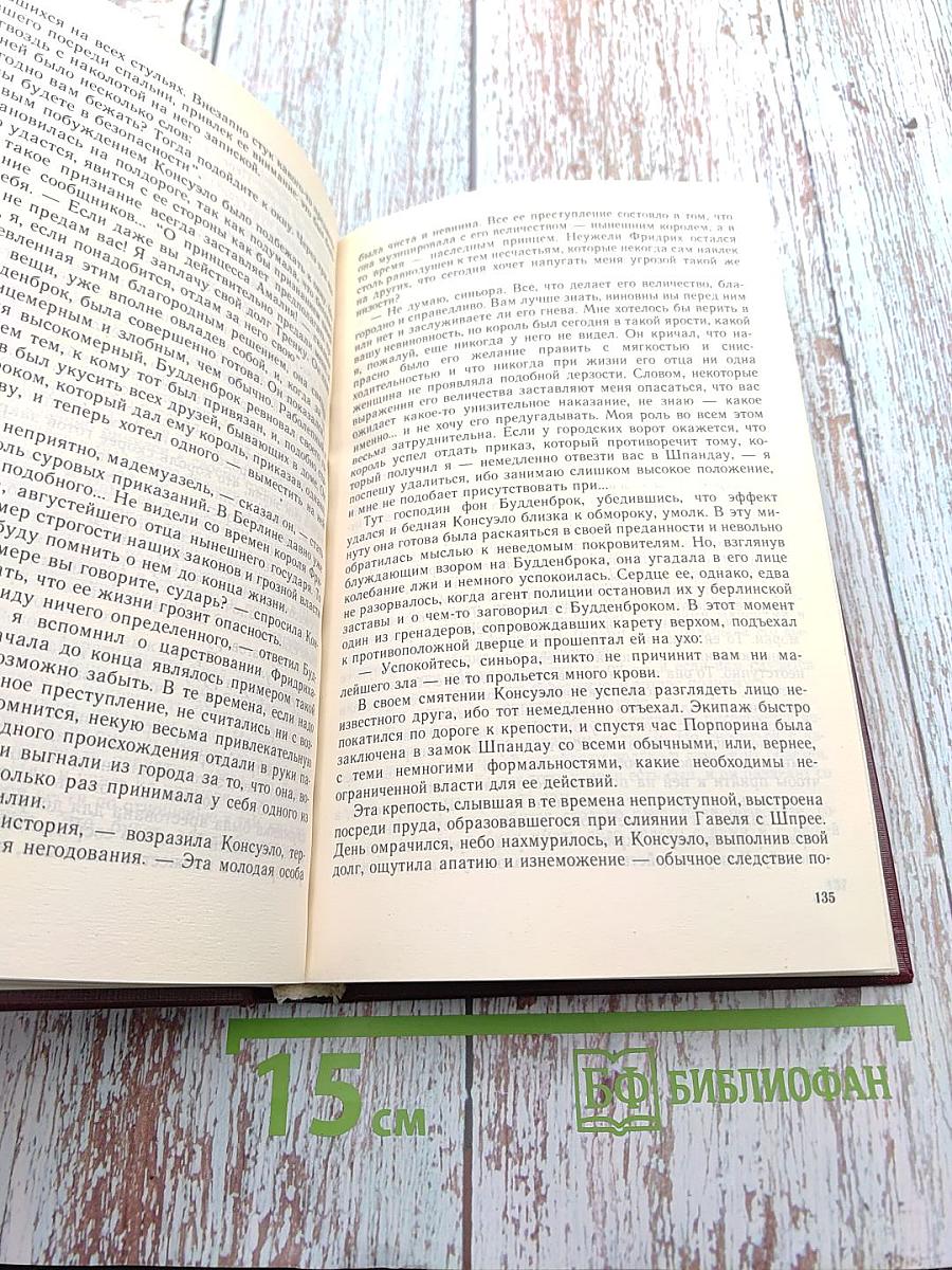 Графиня Рудольштадт