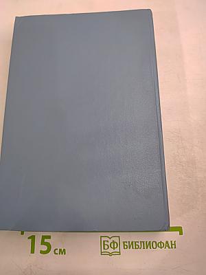 Настанет время... Звездный лис