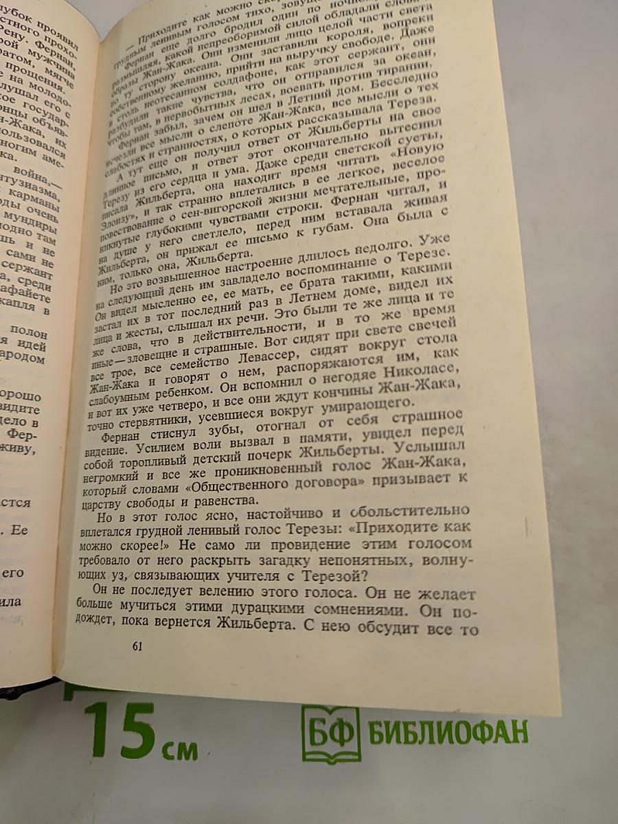 Собрание сочинений. Том шестой. Книга первая: Мудрость чудака, Черт во Франции, Дом Дездемоны, Статьи