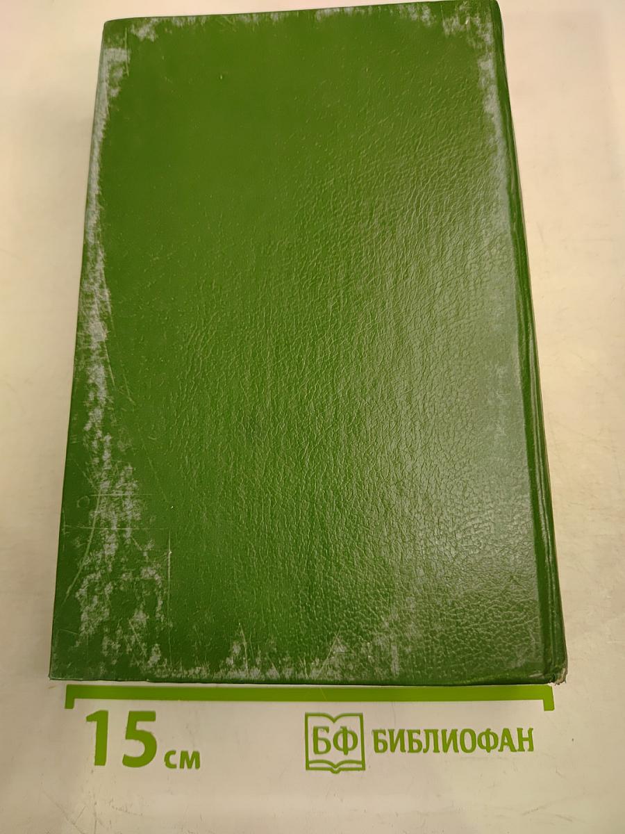 Твоя навеки, Эмбер