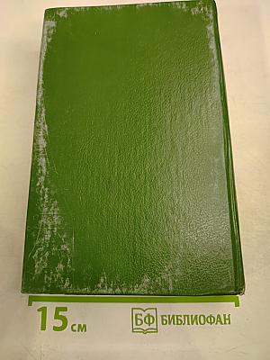 Твоя навеки, Эмбер