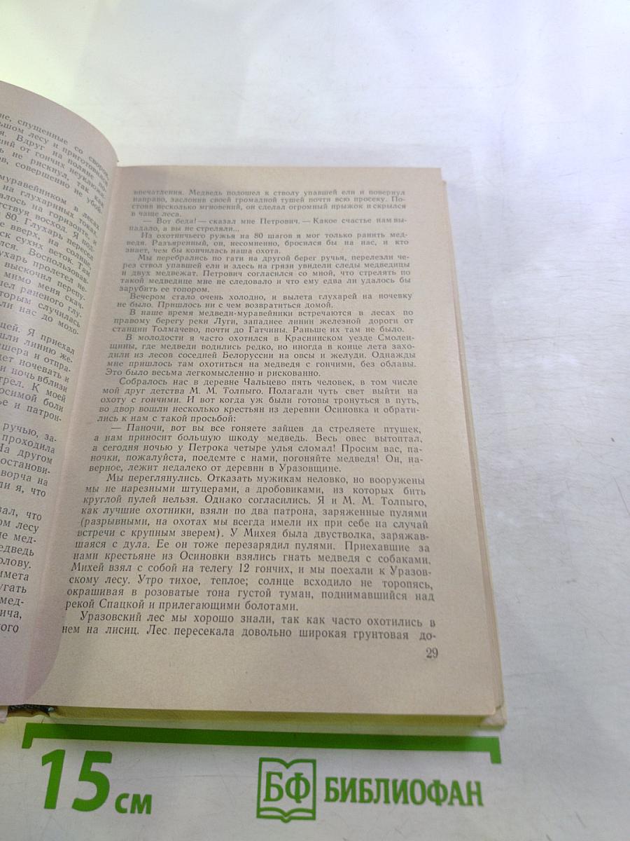 Навстречу утренней заре