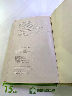 Навстречу утренней заре