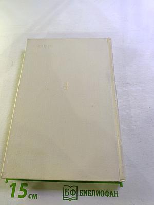 Навстречу утренней заре