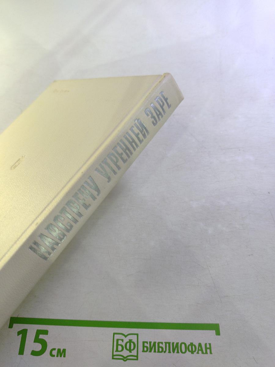 Навстречу утренней заре