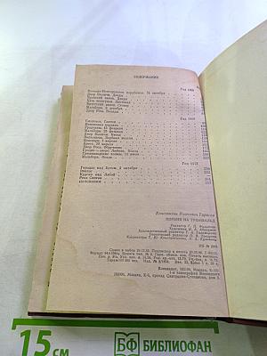 Погоня на Грюнвальд