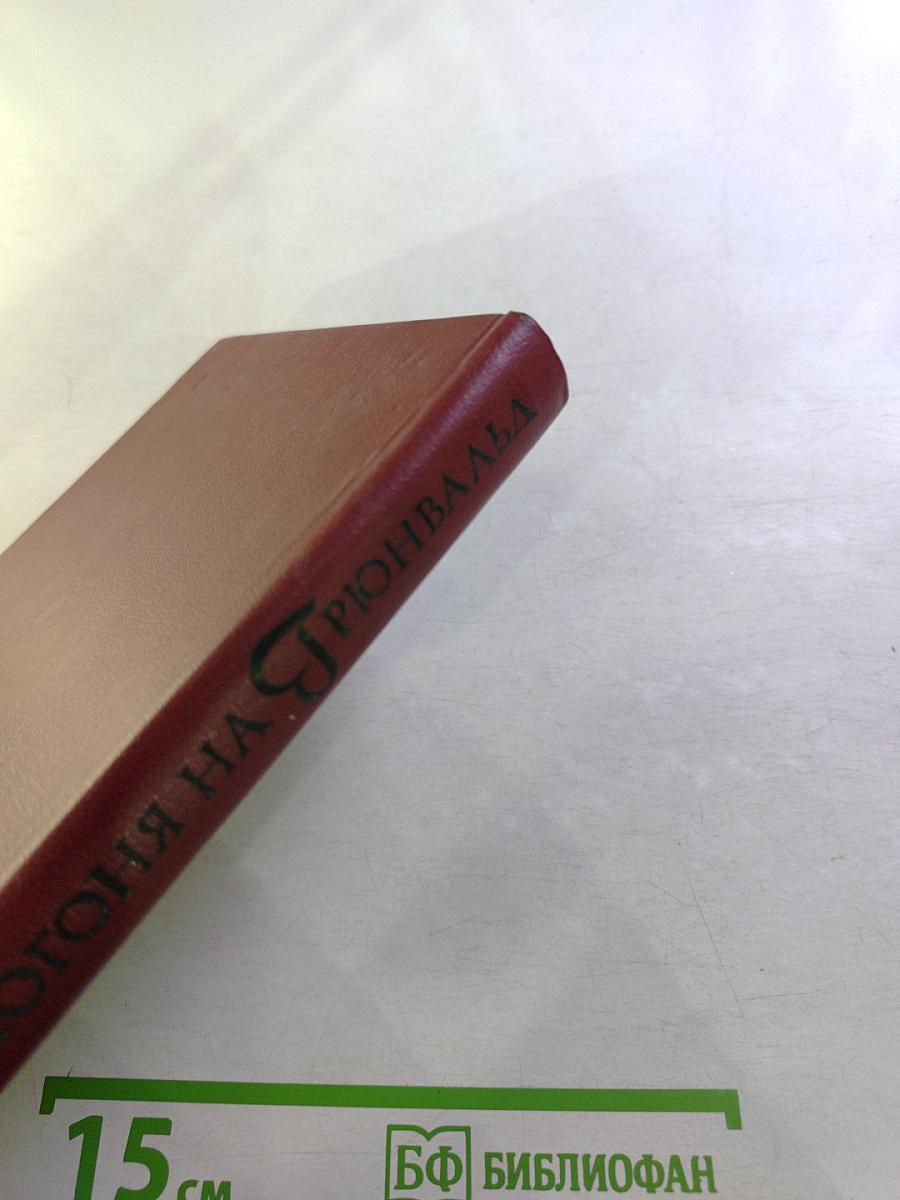 Погоня на Грюнвальд