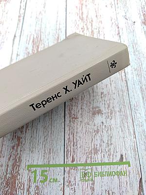 Рыцарь, совершивший проступок. Свеча на ветру