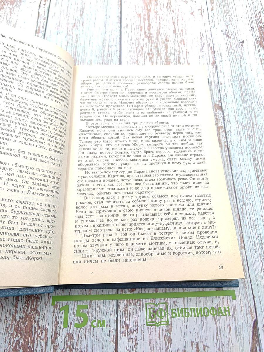 Собрание сочинений в шести томах. Том 4. Господин Паран