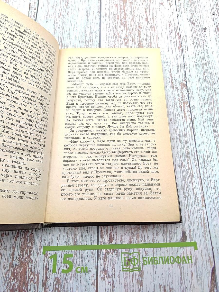 Меч в камне. Царица воздуха и тьмы