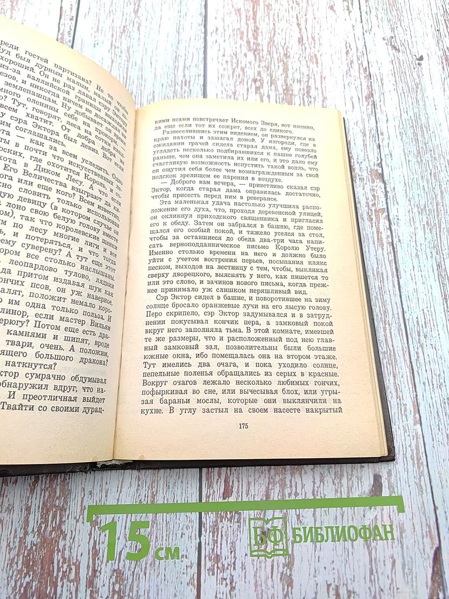 Меч в камне. Царица воздуха и тьмы