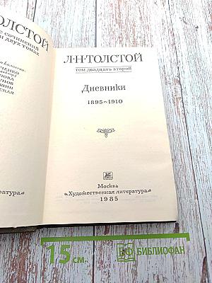 Дневники 1895-1910