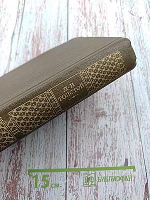 Дневники 1895-1910