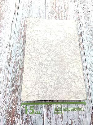 Краеведческие записки. Выпуск второй. Петропавловский собор и Великокняжеская усыпальница