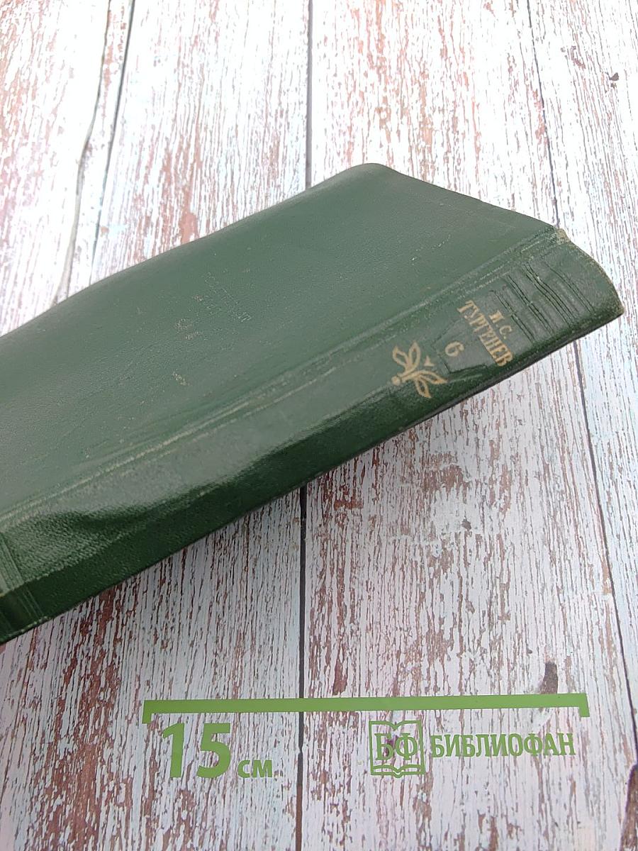 Собрание сочинений. Том шестой: Повести и рассказы 1834-1860 годов