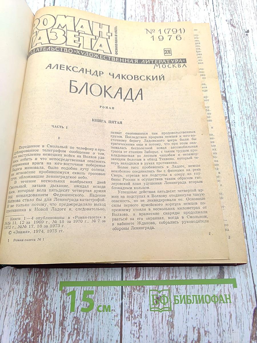 Блокада. Книга пятая (Окончание)