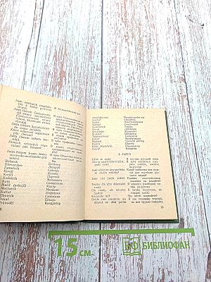 Чешско-русский разговорник