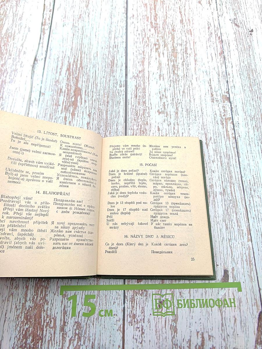 Чешско-русский разговорник